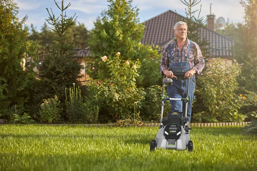 electric lawn mower with bag